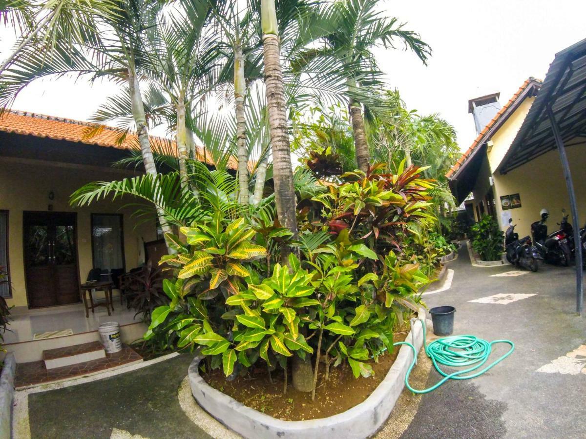 Putu Guest House Canggu  Luaran gambar